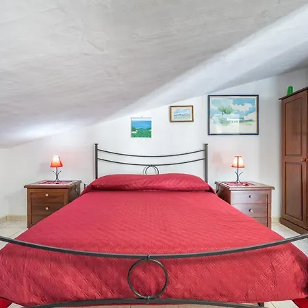 Il Lentischio - Corbezzolo * SantʼAntìoco