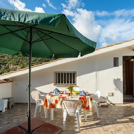 Il Lentischio - Corbezzolo *