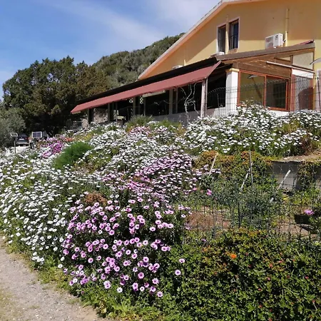 Il Lentischio - Corbezzolo Vakantiehuis SantʼAntìoco