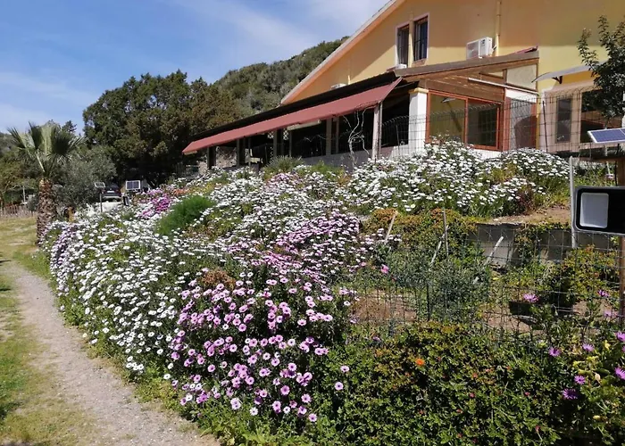 Il Lentischio - Corbezzolo Nyaraló *